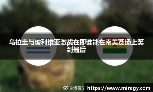 乌拉圭与玻利维亚激战在即谁能在南美赛场上笑到最后