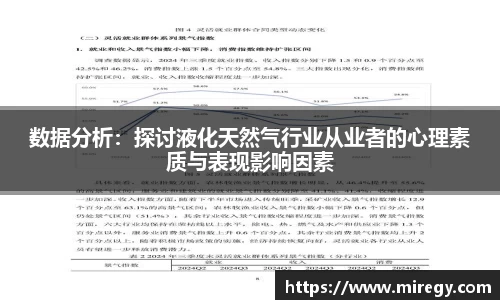 数据分析：探讨液化天然气行业从业者的心理素质与表现影响因素
